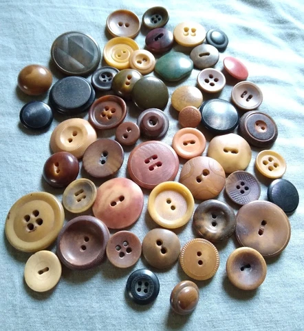 50 Antique Vegetable Ivory Buttons Cover