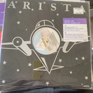 Homosapien 12" Single (USA 1981) Unglaubliche Single von Pete Shelley! sehr guter Zustand+ - Bild 1 von 9