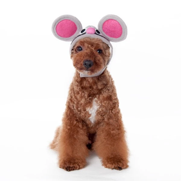Dogo Pet Fashions Mouse Dog Hat - Image 1 of 4