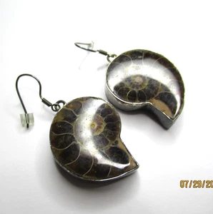 Ammonite Sterling Silver Earrings 925 Fossil - Picture 1 of 3