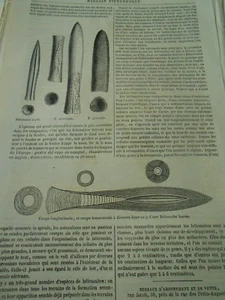 Les Bélemnites 1848 Gravure Oldp Print - Picture 1 of 1