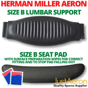 Herman Miller Aeron Size B Lumbar Support Seat Pad Foam Insert