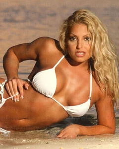 Trish Stratus WWE Diva Photo Picture 8x10 - Picture 1 of 1