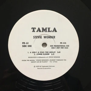 STEVIE WONDER "A Seeds a Star/Tree Medley" WHITE LABEL TAMLA PROMO 1979 PR-61 - Picture 1 of 5