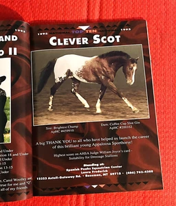 1995 APPALOOSA JOURNAL News, Vintage Magazine - NATIONAL SHOW RESULTS +MORE! - Picture 1 of 21