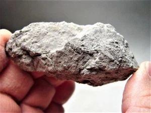 WORLD CLASS! FABULOUS FALL! AMAZING RARE LARGE CARANCAS METEORITE H4-5! 93.1 GMS - Picture 1 of 12
