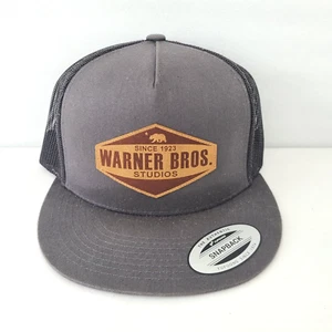 Warner Bros Studios Trucker Cap Adjustable Hat Gray Black Mesh Snapback Yupoong - Picture 1 of 20