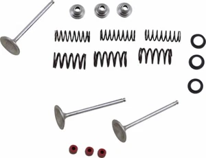 Moose Racing Intake Valve Kit for 2004-2008 Yamaha YFZ450 ATV - Picture 1 of 2