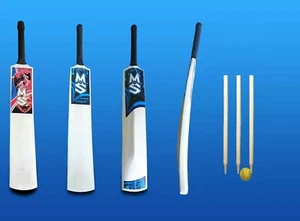 CRICKET SET SCHLÄGER BALLSTÜMPFE GARTEN KINDER FUN PARK SPIELGRÖSSE 0,1,2,3,4,5,6 - Bild 1 von 1