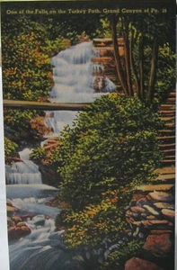 Grand Canyon, Pa - One of the falls on the Turkey Path - unposted - Picture 1 of 2
