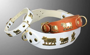 Hunde Halsband Orginal Appenzeller Messingbeschläge - Bild 1 von 1