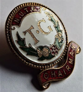 NUTG National Union of Townswomen Guilds CHAIRMAN Metal and Enamel Pin Badge - Foto 1 di 2