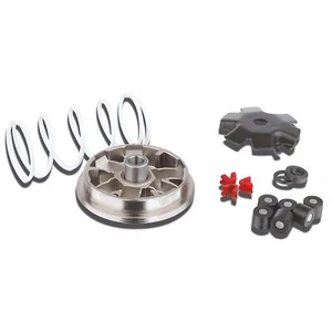 Variomatik Variator Malossi Multivar 6,1 g para PGO Star II 50 Comet - Imagen 1 de 4