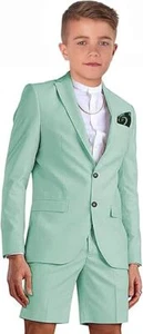 Shorts Suit for Boys Summer Casual 2Pcs Beach Wedding Tuxedo Suit Kids Slim Fit - Picture 1 of 26