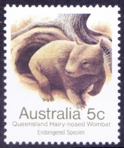 Australia 1981 MNH, vombato dal naso peloso settentrionale, animali selvatici  - Foto 1 di 1