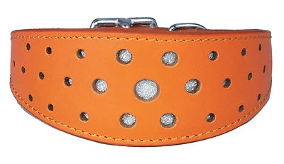 Orange Leather Padded Whippet Collar Greyhound Collar Circle Glitter Dog Collar - Image 1 of 4