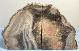 Petrified Wood Bookends ~9"x2"x5.5" Over 5.5 lbs Polished/Rough w/Live Edge #1 - Picture 1 of 7