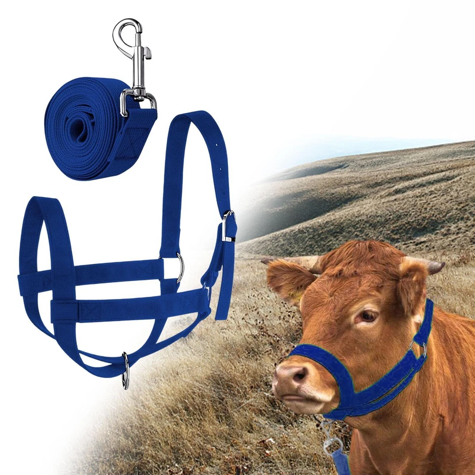 Halter de vaca con cuerda guía potro profesional caballo granja ganado ternero halter Foto 1 de 1