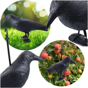 Taubenabwehr Vogelschreck Krähe Vogelabwehr Vogelschutz Taubenschreck Rabe - Bild 1 von 14