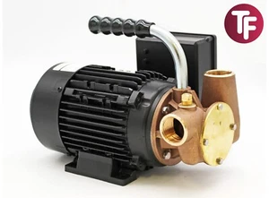 Jabsco 53041-2003-230 Utility 40' Self Priming Pump Impeller 1" BSP 35 LPM 230v - Picture 1 of 14