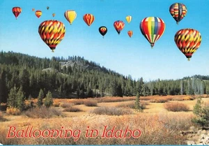 Cartolina continentale in mongolfiera nell'Idaho - Foto 1 di 2