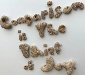 Natürlicher buchstabenförmiger VERGLEICH IST DAS THIF DER FREUDE. Strand Stein Kiesel Wort Hag - Bild 1 von 16
