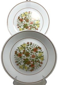 "Juego de 2 platos de ensalada de almuerzo Corelle Corning Indian Summer Pattern 8 1/2""" - Imagen 1 de 4