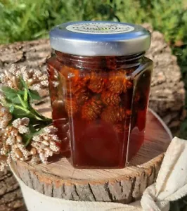 Natural Sweet Pine Cone Jam Delicious Taste Ukraine 0.38 Kg - Picture 1 of 2