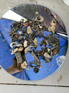 Huge Lot Of Small Shark Teeth/pieces Lot Various Colors And Sizes - Picture 1 of 5
