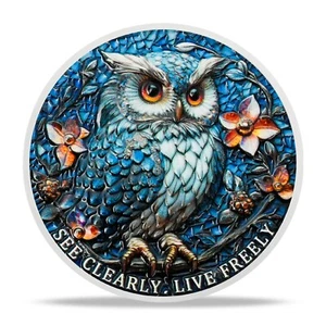 Warning Owl Sobriety Coin AA Chips And Medallions Sobriety Gifts For Men Women - Picture 1 of 17