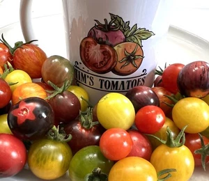 Heirloom Cherry Mix | Tomato Seeds | Heirloom | Organic | Rare Varieties - Picture 1 of 2