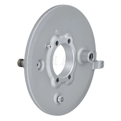 Tambor de placa de apoio de freio traseiro para Yamaha Bear Tracker YFM250X YFM250B 1999-2004 - Imagem 1 de 4