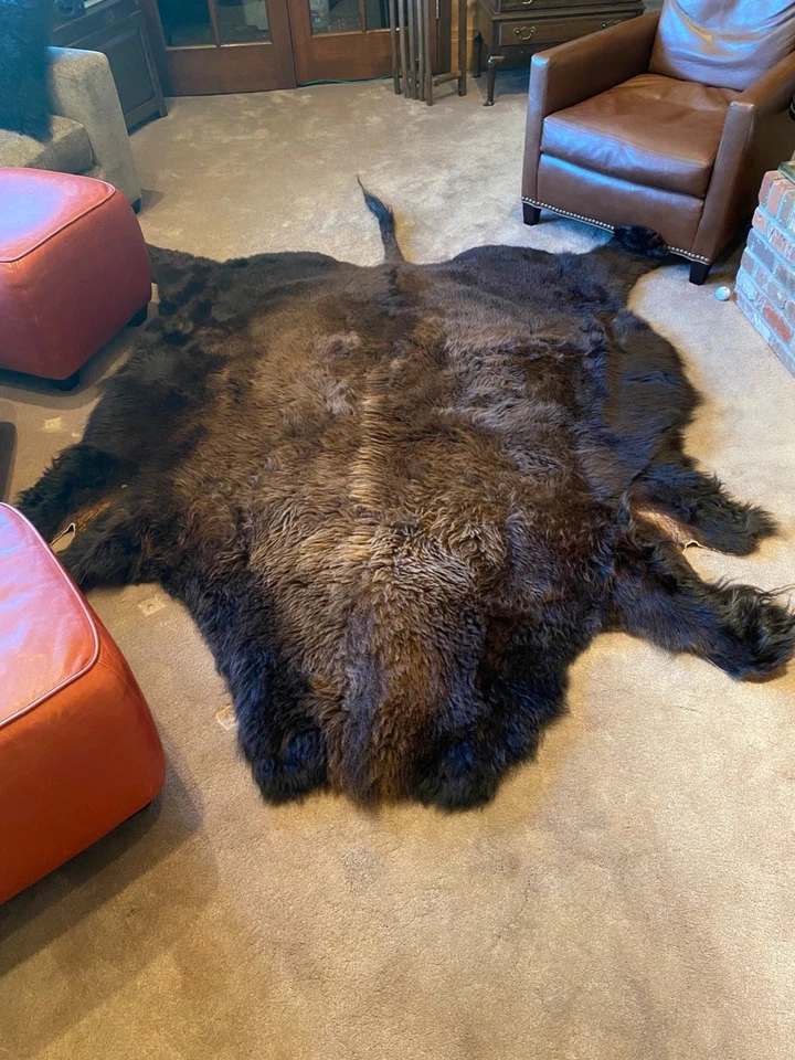 Piel de bisonte de búfalo piel, preciosa 5 x 7, bonito estado y color.. Foto 1 de 1