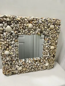 Beautiful Sea Shell Framed Mirror 17 By 17 - Picture 1 of 11