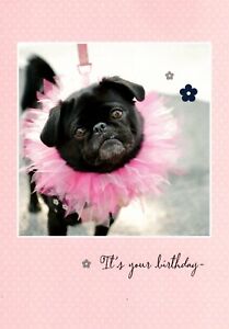 Funny Happy Birthday Black Pug Pink Tutu Go Ahead Accessorize Hallmark Card