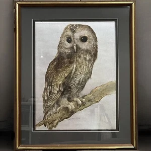 Vintage JAN HUSTON Eule holografisches Brett - Bild 1 von 6