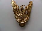 Primul Cosmonaut Roman 1981. - Vintage badge