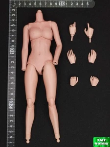 1:6 Scale Soldier Story SSG-007 PUBG Venator - Body Seamless Arm(NO HEAD & FEET) - Picture 1 of 3