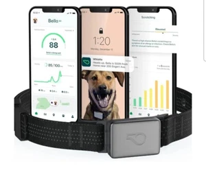 Interruptor de Silbato GPS + Salud + Fitness Collar Inteligente para Perros, Rastreador GPS para Perros 24/7 - Imagen 1 de 13