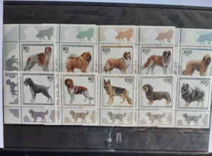 BRD Bund Serie Hunde postfrisch - Bild 1 von 1