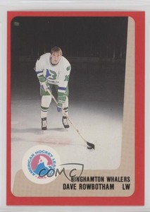 1988-89 ProCards AHL/IHL Dave Rowbotham