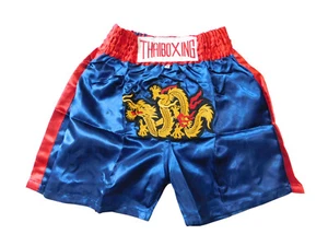 Blue Dragon Kids Muay Thai Shorts - Perfect Fit & Stylish MMA Boxing SIZE M - Picture 1 of 2