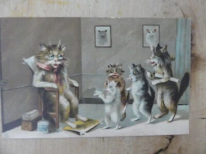 PC Tuck Humerous Cats. Gatos jóvenes y gatos viejos - Imagen 1 de 2