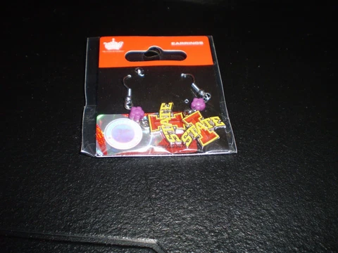 Iowa State Dangle Earrings With little bead   Free Shipping Cover