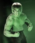 8x10 Print Lou Ferrigno The Incredible Hulk #3231
