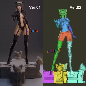 1/8 1/6 Steampunk Catwoman 3D-Druck Figur Modellbausatz unbemalt unmontiert GK - Bild 1 von 5