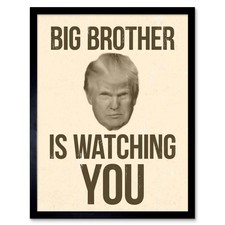 Donald Trump Big Brother Is Watching You George Orwell 12X16 Inch Framed Print