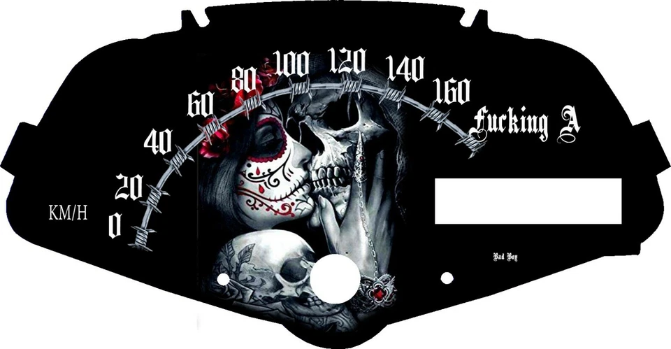 Placa frontal velocímetro personalizado Honda Fury VT1300CX Kiss My Skull MPH o HM/H Foto 1 de 1