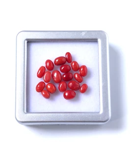 18 Pieces Natural Bloodred Italian Coral Loose Cabochon Lot-Italian Coral - Picture 1 of 6