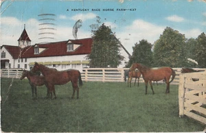 A Kentucky Race Horse Farm KY Vintage Linen Postcard Posted 1944 - Picture 1 of 2